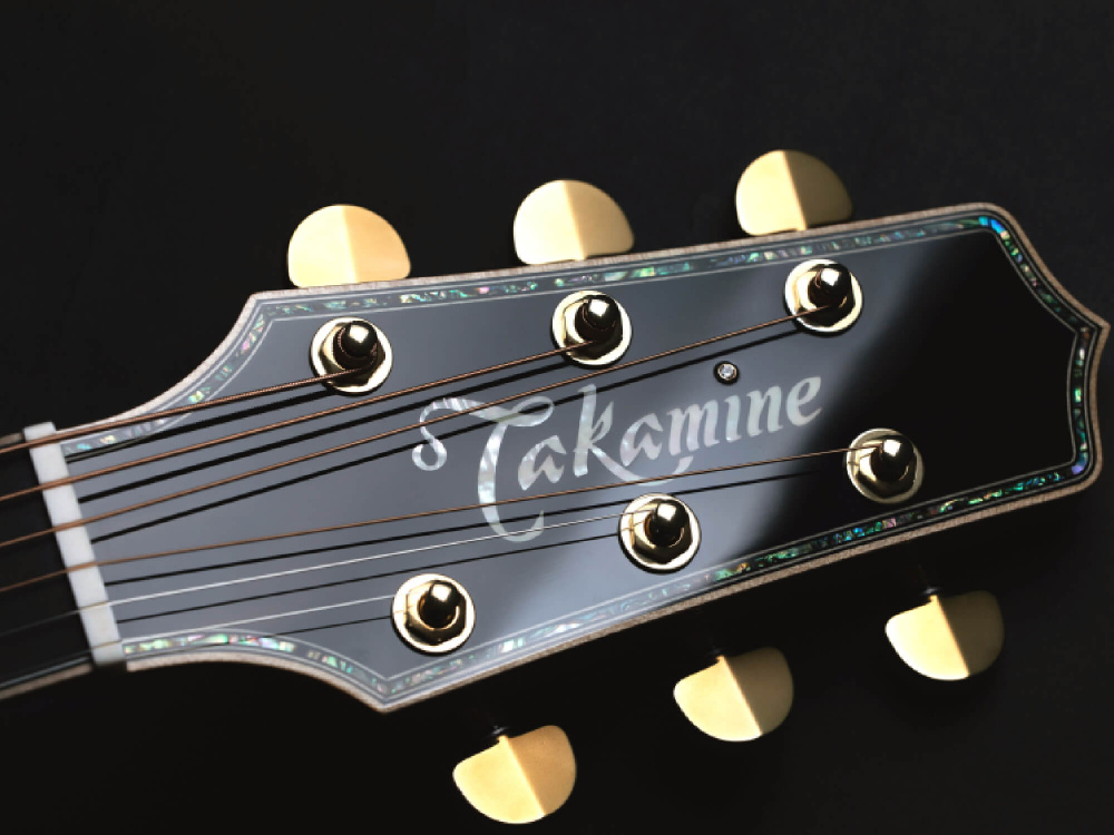 Словарь основных гитарных терминов от Takamine